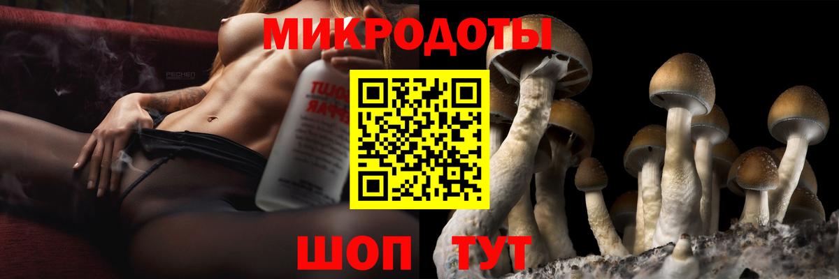 Галлюциногенные грибы Magic Shrooms  Псилоцибиновые грибы GOLDEN TEACHER  Красноармейск  Вход с VPN 